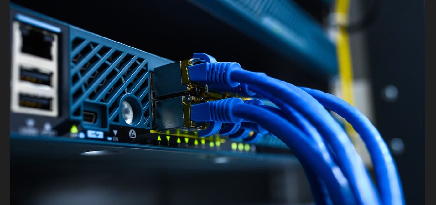Photographie réelle de câbles Ethernet connectés à un équipement réseau